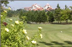 Palm Resort Golf & Country Club (